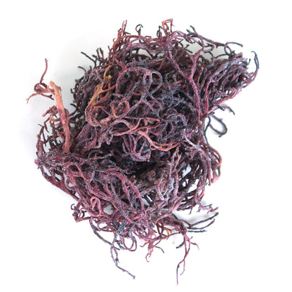 Purple Irish Sea Moss - 4 oz.